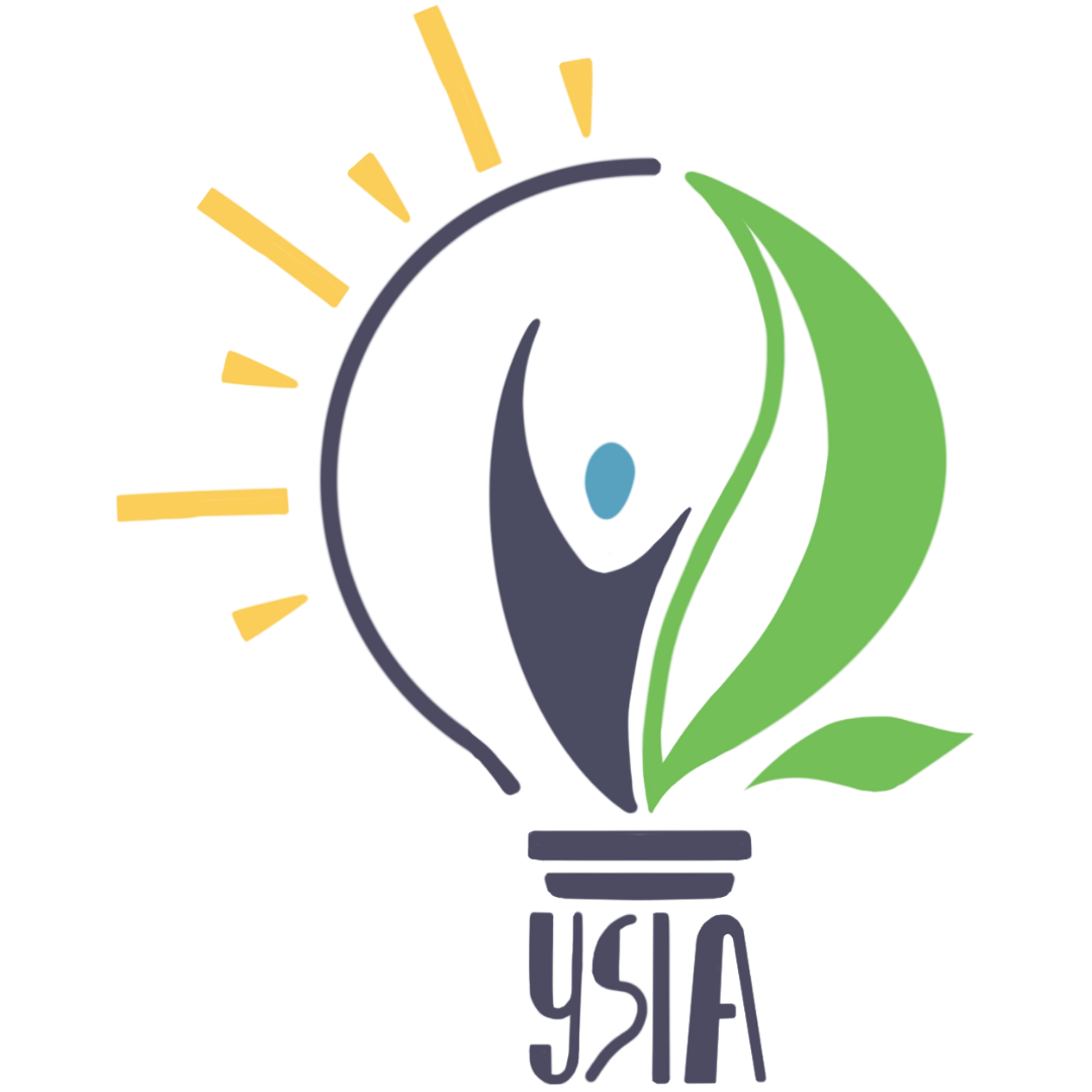 Youth Social Innovation Association